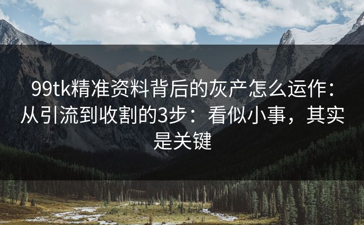 99tk精准资料背后的灰产怎么运作：从引流到收割的3步：看似小事，其实是关键