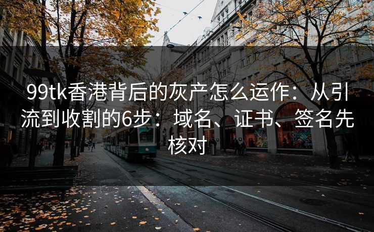 99tk香港背后的灰产怎么运作：从引流到收割的6步：域名、证书、签名先核对